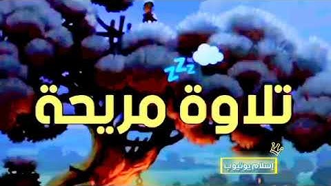 قرآن كريم تلاوة خاشعة ترح القلب بدون حقوق الطبع والنشر
