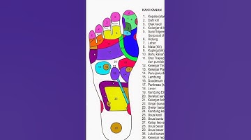 Thumbnail of Manfaat 62 titik refleksi kaki ,