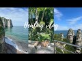    healing vlog  tretat  