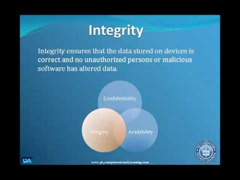 What is integrity in software security?