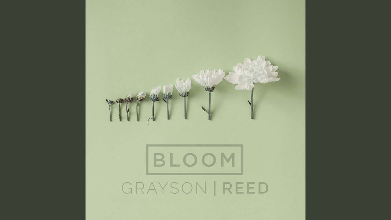 Bloom (Radio Version)