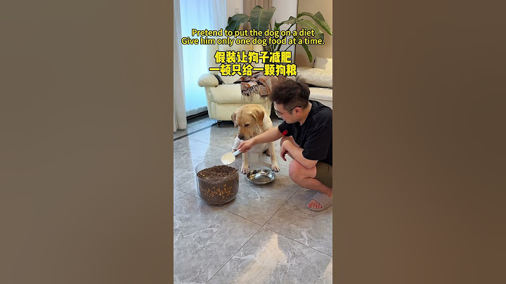 【旺仔很忙🐶wangzai is busy】当主人熟睡时遇到危险Does a dog duck when in danger while its owner is asleep?