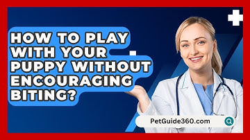 How To Play With Your Puppy Without Encouraging Biting? - PetGuide360.com