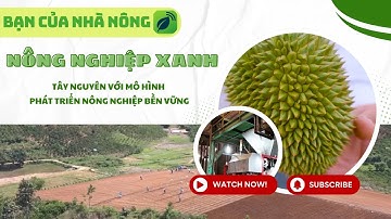 Tây Nguyên với mô hình phát triển nông nghiệp bền vững