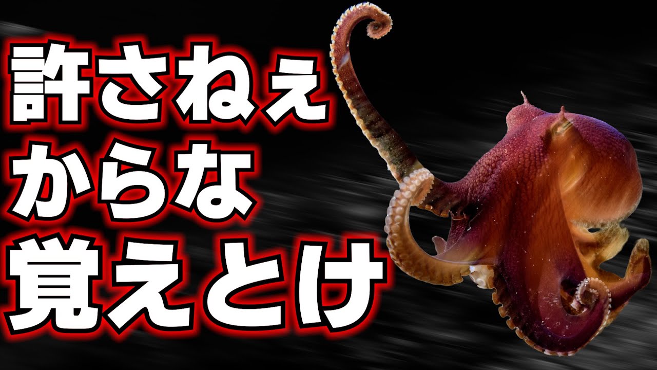 An overly intelligent octopus loses his temper - YouTube