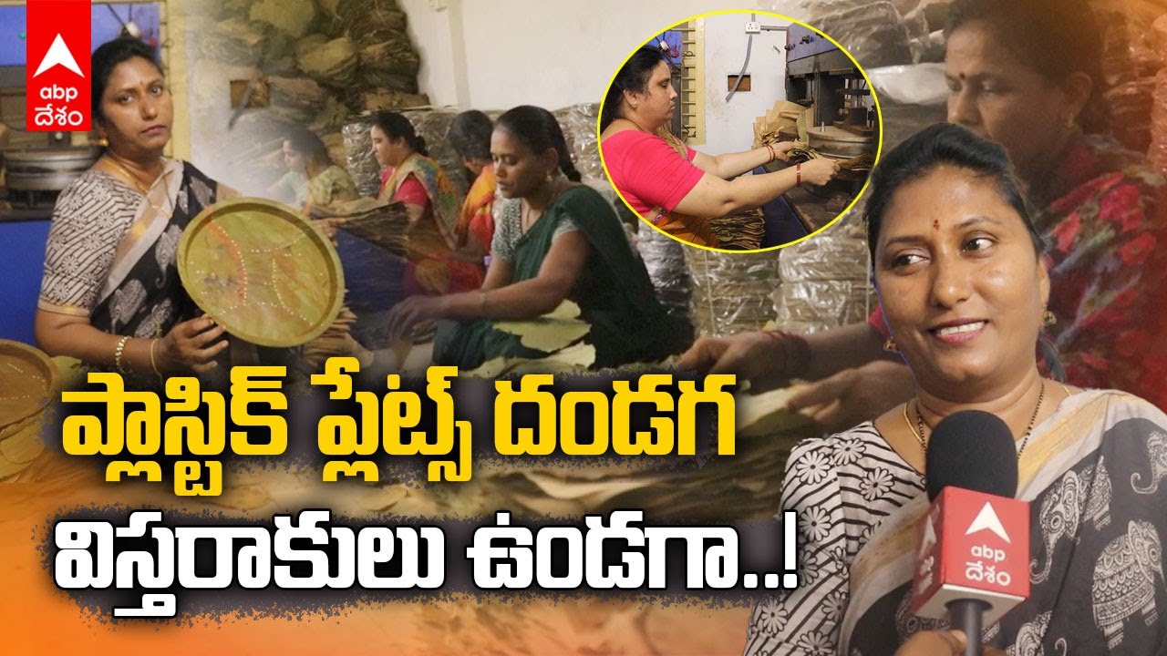 Biodegradable Leaf Plates | విస్తరాకుల వ్యాపారంలో రాణిస్తున్న తిరుపతికి చెందిన ఉష | ABP Desam