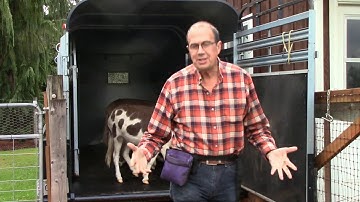 Trailer-Loading Training