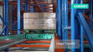 Damon Four way Pallet Shuttle System-Case Study-Wufangzhai-Food & Beverage