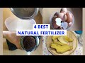 4 BEST NATURAL FERTILISERS FOR YOUR GARDEN | Natural Fertilisers You Didn&#39;t Know You Have At Home