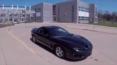 Is the V6 Firebird a better value than the V8?