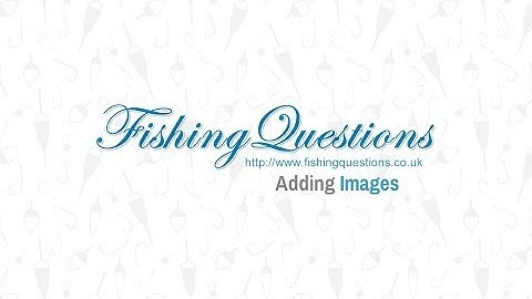 Uploading Images using ImageShack | FishingQuestions