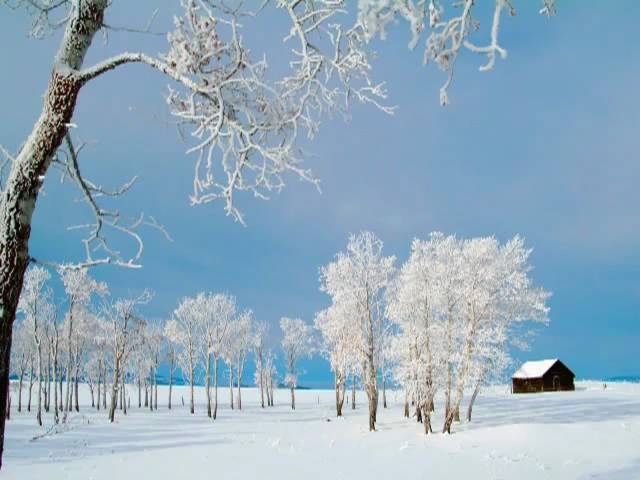 Francis Goya - Winter Wonderland