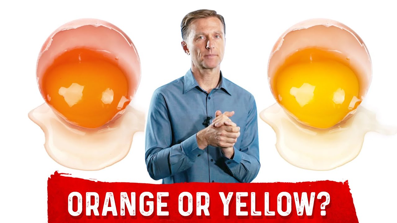 Egg Yolks: Orange Or Yellow – Pasture Raised Eggs Vs. Factory Farm Eggs – Which Is Better? – Dr.Berg