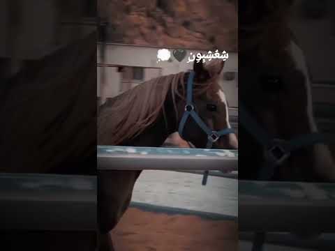 ليت قلبي قد عصاني