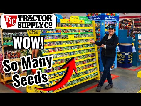 Tractor Supply Hay Netprivacy