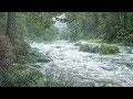 No Ads. Relax into Deep Sleep with Heavy Rain, Fierce Forest Wind &amp; Thunder | ASMR Flowing Stream
