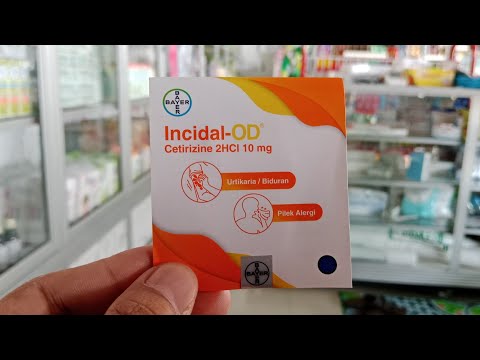 Incidal Sehari Berapa Kali