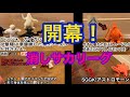 消しサカリーグ第①節 第❸試合 🦅vs🦊 2期前に優勝争いをした両軍!代表正GKの移籍でさらに白熱した因縁の対決の行方はいかに!?