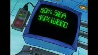 SpongeBob SquarePants - Seaweed