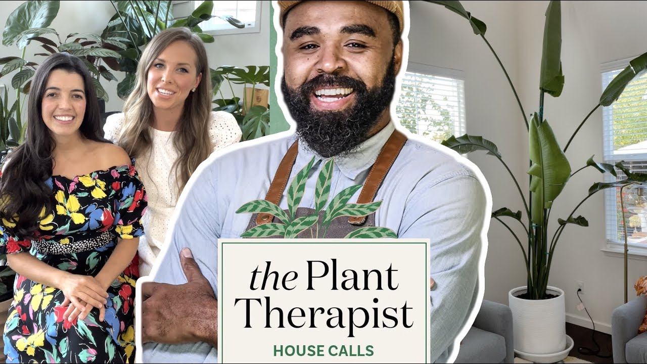 House Calls with the Plant Therapist: The Case of the 11-Foot Bird of Paradise