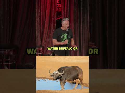 The hunter and the prey!  #standupcomedy #comedyclips #funnyclips #standup