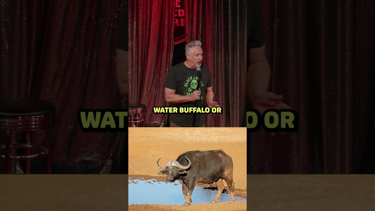 The hunter and the prey!  