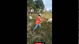 Nyanyi bareng kambing keren lucu kocak  62