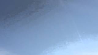 Mal's first launch