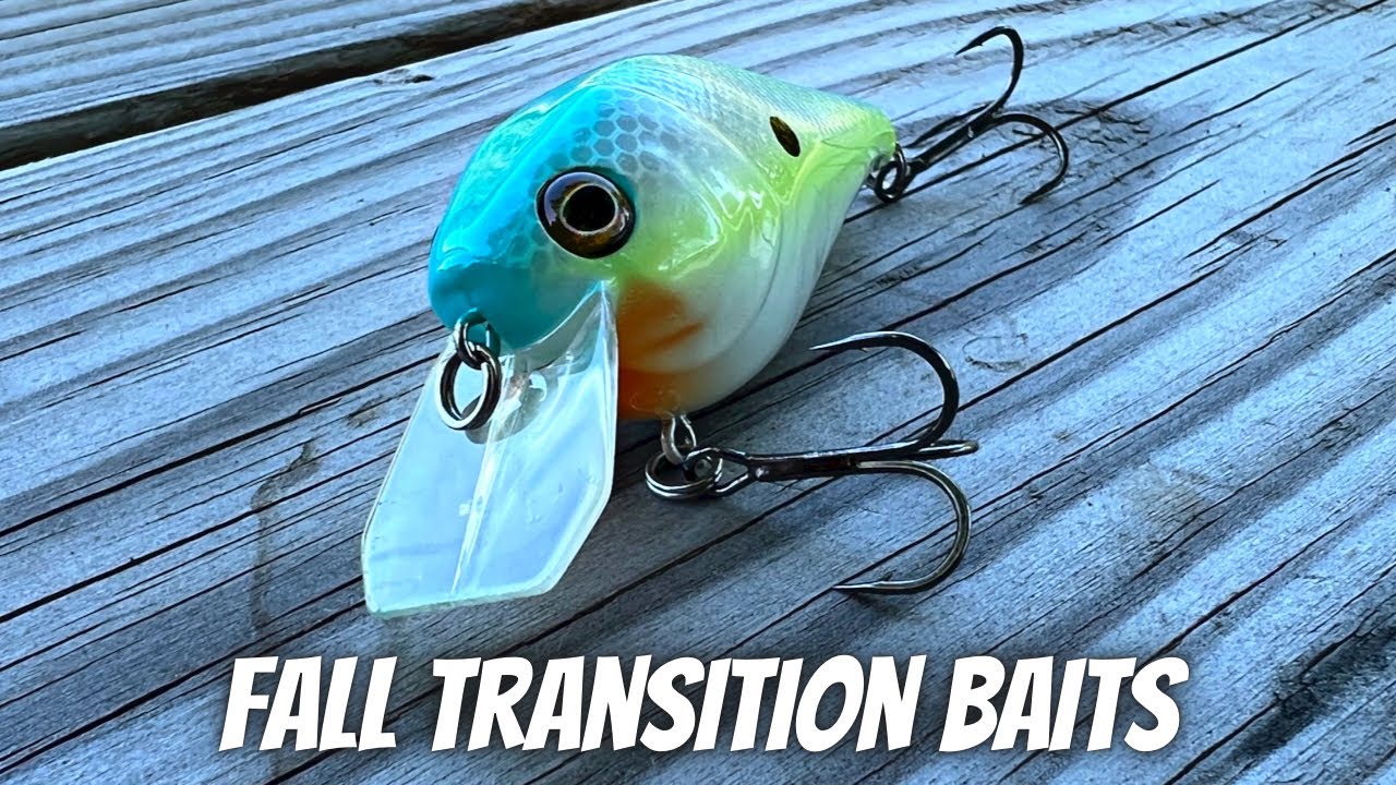 Try These Summer To Fall Transition Baits To Catch More Bass! 