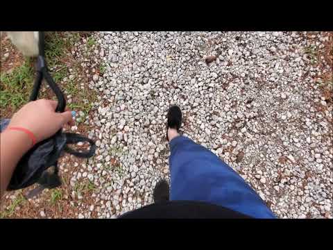 Giantess Walking on Gravel | Lofi ASMR