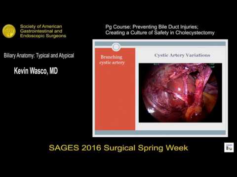 Biliary anatomy. Typical & atypical