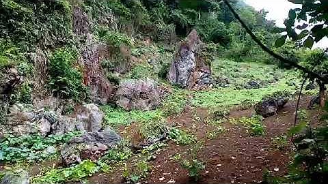 1.6.2020 mu​ teb​ mu​ saib​ pub​ qaib​ pub​ o​ nawb​