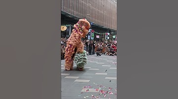 Thumbnail of 2025 World Dragon & Lion Dance Extravaganza