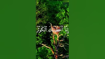 قرأن كريم بصوت جميل سورة الكوثر #quotes #قران_كريم #خشوع_القرآن