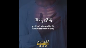 💖وعلى ربهم يتوكلون🤍 سورة الأنفال:٢|شريف مصطفى|Surah al Anfaal:2|Sherif Mostafa