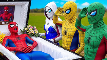 سورة البقرة - تلاوة مرتلة بصوت الشيخ ياسر الدوسري