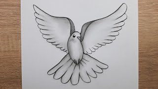 Kolay Karakalem Kuş Resmi Adım Adım Nasıl Çizilir Kuş Nasıl Çizilir Çizim Hobimiz Kolay Karakalem