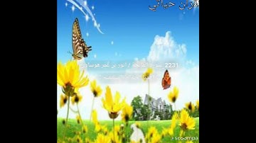 2231_سورة الفاتحة / أنور بن عمر هوساوي.﴿ اهْدِنَا الصِّرَاطَ الْمُسْتَقِيمَ ﴾