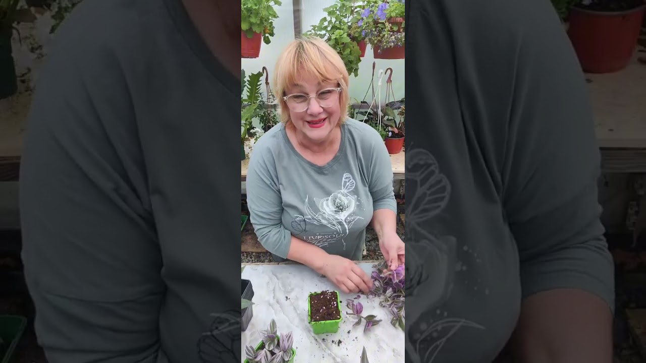 О РОДНИНОЙ И О ПЕНСИЯХ.