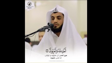 القارئ رعد محمد الکردي | تلاوة جمیلة من سورة الأخلاص