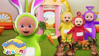 Teletubbies Let’s Go | Carrots and Lots of Rabbits | Full Episodes