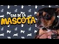 Tag de la Mascota (Toby) / Fedelobo /