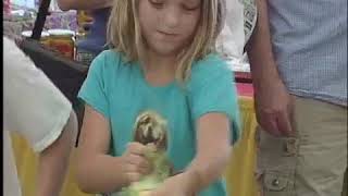 Ohio State Fair : Corn Husking Competition