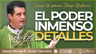 Lo Pequeño Tiene Una Fuerza Que No Imaginas | Homilía 27.07.26 | P. Javier Carralón Lo Pequeño Tiene Una Fuerza Que No Imaginas | Homilía 27.07.26 | P. Javier Carralón