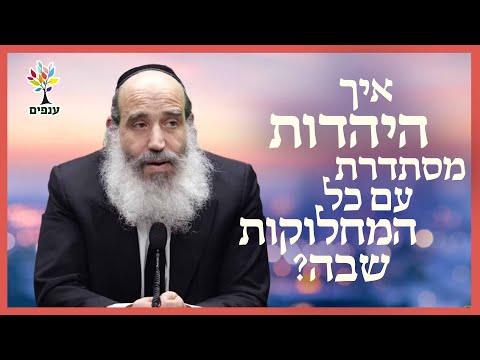 הרב פנגר עונה: איך היהדות מסתדרת עם כל המחלוקות שבה?