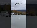 Amazing view! Lake Willoughby, North beach! #youtubeshorts #vermont #fallinvermont