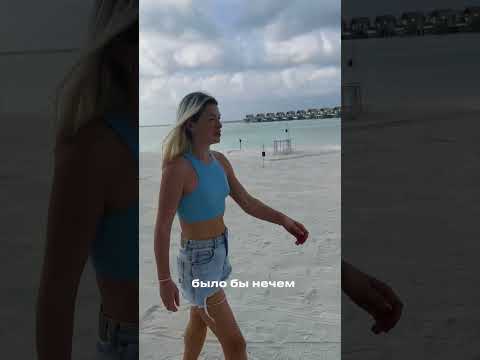 Почему на Мальдивах нет собак?