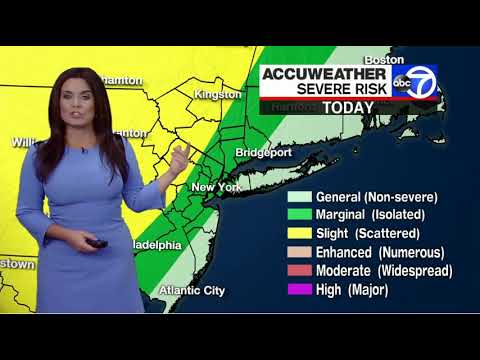 Amy Freeze Works Puppies In Tight Purple Brassiere Bustin' Dress May 29 ...