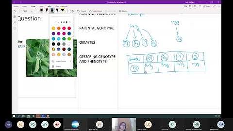 Chap 16 (Part 2a) Mendelian Inheritance (2/2) | Cambridge A-Level 9700 Biology