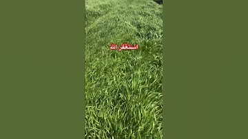 #اكسبلور #كامري #تصويري #محركات #صبرو قران سورة مريم